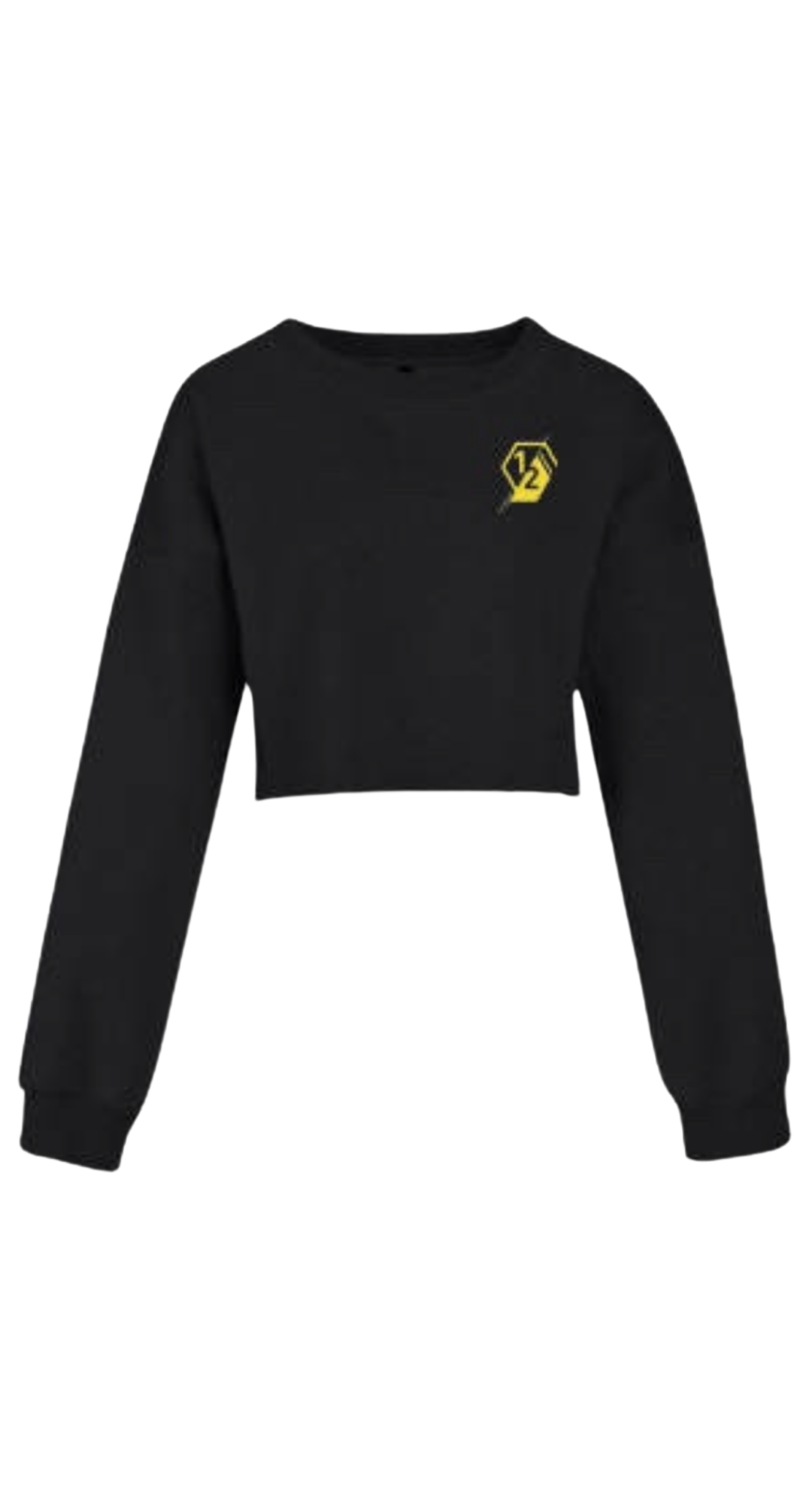 Black Logo Crop Sweatshirt