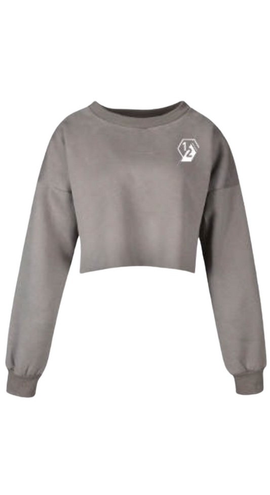 Taupe Logo Crop Sweatshirt